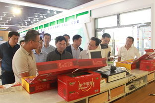 國(guó)家發(fā)改委來(lái)我縣調(diào)研蘋果產(chǎn)業(yè) 生產(chǎn)創(chuàng)新與電商融合助力市場(chǎng)變革